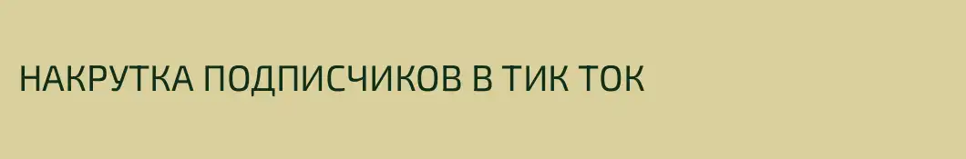 НАКРУТКА ПОДПИСЧИКОВ В ТИК ТОК